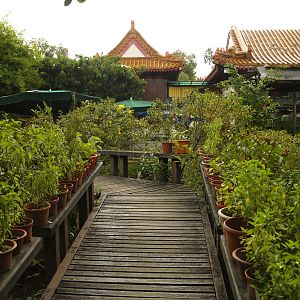 Museum garden