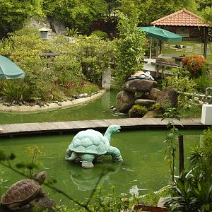 Pond in museum garden