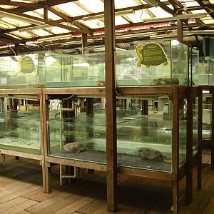 Covered area with rows of tanks