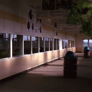 Chester Zoo Memories    Ape House Viewing Gallery March 1993