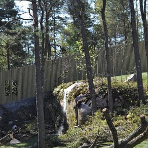 Extended gorilla exhibith