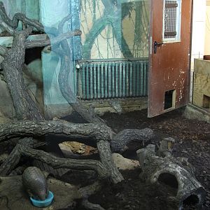 Enclosure for Chinese Pangolin (Manis pentadactyla pentadactyla)