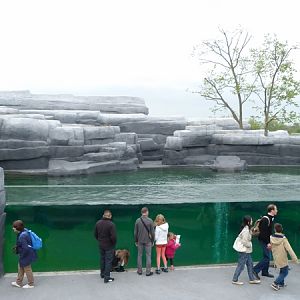 Patagonia; sea lion enclosure