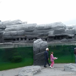 Patagonia; penguin enclosure