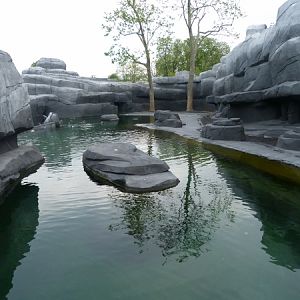 Patagonia; penguin enclosure