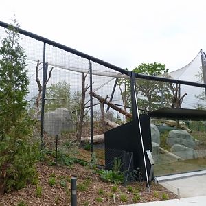 Patagonia; Cougar enclosure