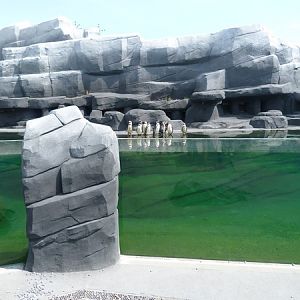 Patagonia; penguin enclosure