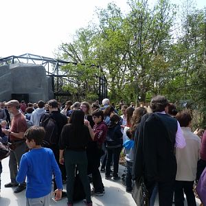 Crowds at the new zoo