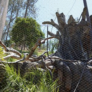 Harper Eagle Aviary Lower Level