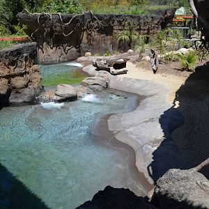 Giant River Otter Habitat