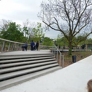 Sahel - Rhino Observation