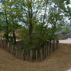 Sahel; Rhino Paddock