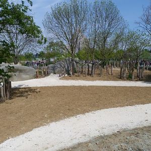 Sahel; Rhino Paddock