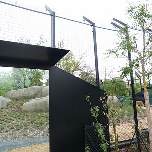 Sahel; lion enclosure