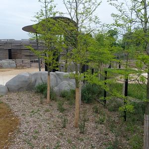 Sahel; Savannah and seperation