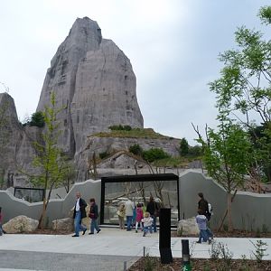 Sahel; Baboon viewing