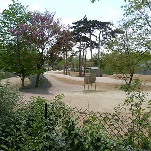 Sahel; Scimitar horned oryx paddock