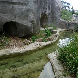Europe; Otter enclosure