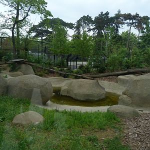 Europe; wolverine enclosure