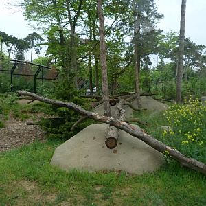 Europe; wolverine enclosure