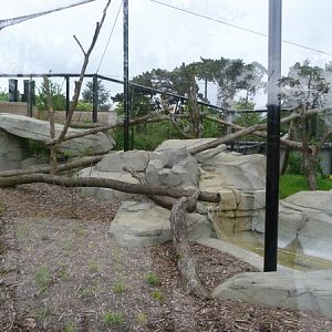 Europe; lynx enclosure