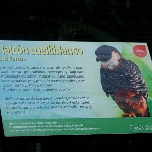Signage Example at Zoo Simon Bolivar, 12/04/14