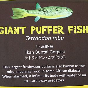 signage example in the Congo River section