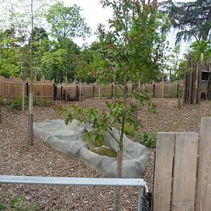 Guyane; temporary tapir paddock