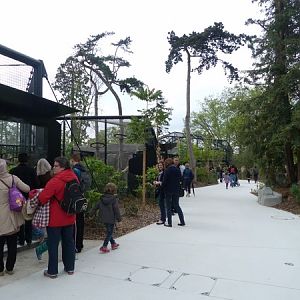 Guyane; Jaguar enclosure