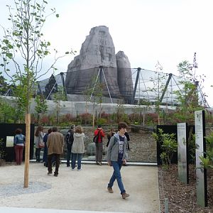 Guyane; Bushdog enclosure