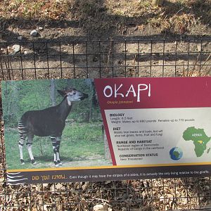 Omaha Zoo Okapi Sign