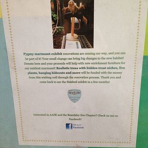 Pygmy Marmoset Exhibit Renovation Description