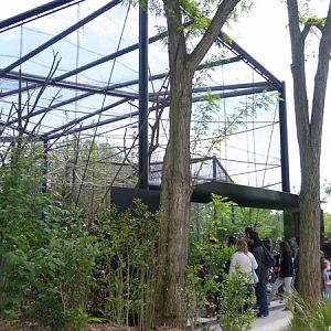 Madagascar: Fruit bat outdoor enclosure