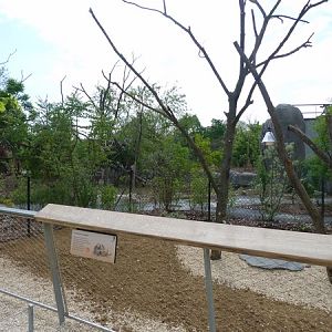Madagascar: Radiated tortoise enclosure