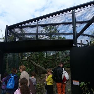 Madagascar: Fossa enclosure