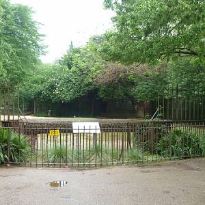 Dromedary camel enclosure
