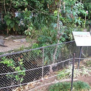 Crocodile Enclosure at Zoo Simon Bolivar, 12/04/14