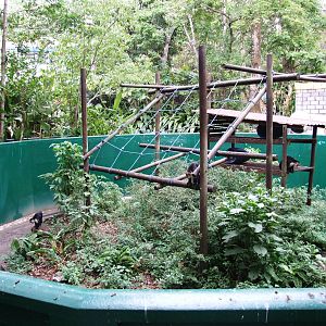 Monkey Enclosure at Zoo Simon Bolivar, 12/04/14