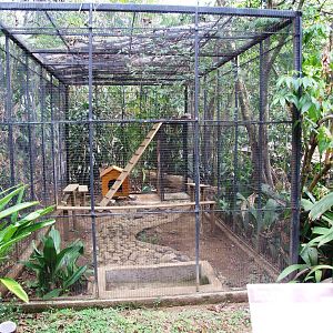 Fox Enclosure at Zoo Simon Bolivar, 12/04/14