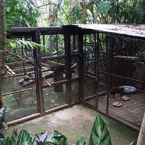 Small Cat Enclosure at Zoo Simon Bolivar, 12/04/14