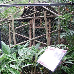 Sloth Enclosure at Zoo Simon Bolivar, 12/04/14