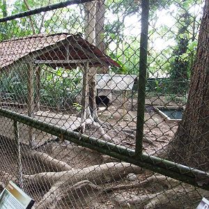 Tapir Enclosure at Zoo Simon Bolivar, 12/04/14