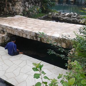 Another manatee enclosure