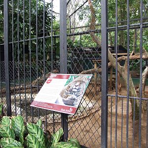 Jaguar Enclosure at Zoo Simon Bolivar, 12/04/14