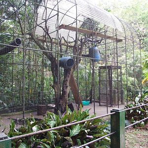 Kinkajou Enclosure at Zoo Simon Bolivar, 12/04/14