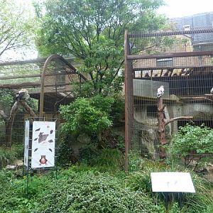 Vulture Enclosures
