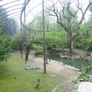 Great aviary interior