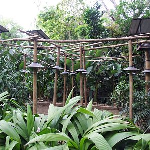 Macaw Enclosure at Zoo Simon Bolivar, 12/04/14