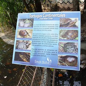 Signage Example at Zoo Simon Bolivar, 12/04/14