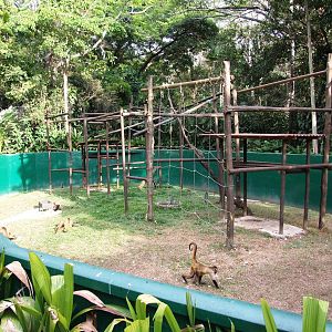 Monkey Enclosure at Zoo Simon Bolivar, 12/04/14